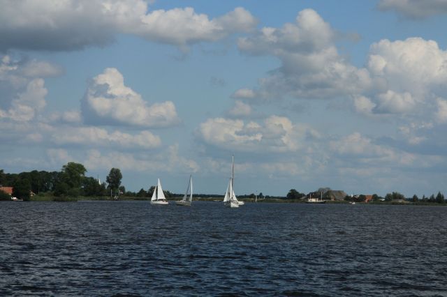 2009-08-Holandsko > obr (30)
